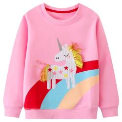 JinBei Sweatshirt für Mädchen Kinder Pullover Baumwolle Top Casual Jumper Rosa Regenbogen-Einhorn Pferd Warm Langarmshirt 3-4 Jahre alt, Gr.98-104 von JinBei