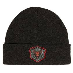 Diablo IV Mtze Daughter of Hatred Beanie grau von JINX