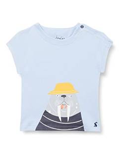 Joules Baby-Jungen Ben T-Shirt, Blue Marl Walrus, Upto1m von Joules