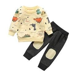 Joureker Kleinkind Baby Jungen Kleidung Set Dinosaurier bedruckt Langarm Tops und Hose Outfits, Gelb a, 3-4 Jahre von Joureker