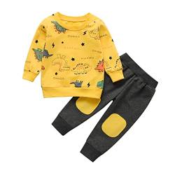 Joureker Kleinkind Baby Jungen Kleidung Sets Dinosaurier gedruckt Langarm Tops und Hosen Outfits, Gelb, 2-3 Jahre von Joureker