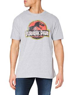 Jurassic Park Herren Logo im Used-Look T-Shirt, grau, M von Jurassic Park