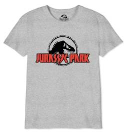 Jurassic Park Jungen Bojupamts033 T-Shirt, grau meliert, 10 Jahre von Jurassic Park