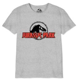 Jurassic Park Jungen Bojupamts033 T-Shirt, grau meliert, 14 Jahre von Jurassic Park