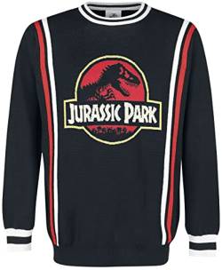 Jurassic Park Retro Logo Männer Strickpullover Multicolor L von Jurassic Park