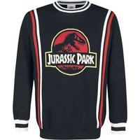 Jurassic Park Strickpullover - Retro Logo - S bis XXL - für Männer - Größe L - multicolor  - EMP exklusives Merchandise! von Jurassic Park