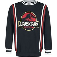 Jurassic Park Strickpullover - Retro Logo - S bis XXL - für Männer - Größe M - multicolor  - EMP exklusives Merchandise! von Jurassic Park