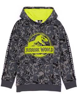 Jurassic World Hoodie Kinder Jungen Camp Cretaceous T Rex Grey Pullover 7-8 Jahre von Jurassic World