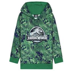 Jurassic World Kapuzenpullover Kinder Jungen und Mädchen Dinosaurier Hoodie Teenager (5-6 Jahre, Grün) von Jurassic World