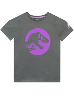 Jurassic World Mädchen T-Shirt Grau 128 von Jurassic World