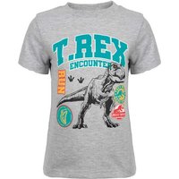 Jurassic World Print-Shirt Jurassic World T-Rex Kinder Jungen kurzarm T-Shirt Shirt Gr. 92 bis 128 von Jurassic World