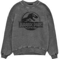 Jurassic World Rundhalspullover von Jurassic World