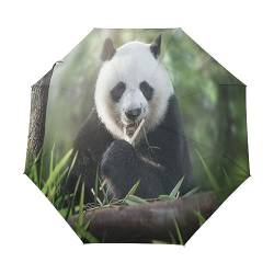 Pandatier Bambus Regenschirm Taschenschirm Auf-Zu Automatik Schirme Winddicht Leicht Kompakt UV-Schutz Reise Schirm für Jungen Mädchen Strand Frauen von KAAVIYO