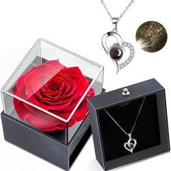 KOOMAL Preserved Real Rose with I Love You Necklace in Gift Box, Eternal Real Rose Flower Gifts for Woman on Birthday, Anniversary, Valentine's Day, Mother's Day (Silver) von KOOMAL