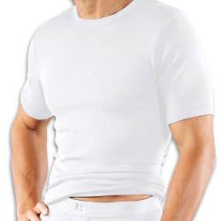 Kumpf Herren Shirt 1/2 Arm Größe L, 2 er Pack von KUMPF BODY FASHION