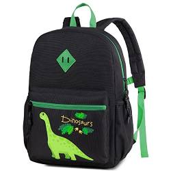 Kasgo Kinderrucksack Jungen, Niedlich Leicht Wasserabweisend Vorschule Kinder Rucksack Kindergartenrucksack Kleinkind Rucksack mit Brustgurt Dinosaurier von Kasgo