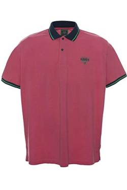 Kitaro Poloshirt Polo Shirt Hemd Herren Kurzarm Baumwolle Piqué Plusgröße, Herrengrößen:7XL, Farbe:pink von Kitaro