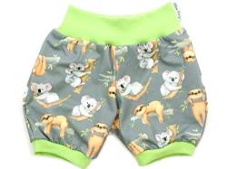 Kleine Könige Kurze Pumphose Baby Jungen Shorts · Modell Koala und Faultier grau, Lemon · Ökotex 100 Zertifiziert · Größe 50/56 von Kleine Könige