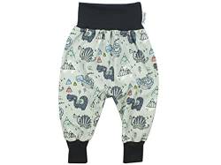 Kleine Könige Pumphose Baby Jungen Hose · Modell Dino Drache Arthur grau, dunkelgrau · Ökotex 100 Zertifiziert · Größe 98/104 von Kleine Könige