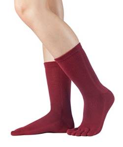 Knitido wadenlange Zehensocken aus Baumwolle Essentials, 9 Farben, Unisex, Größe:35-38, Farbe:Weinrot (016) von Knitido