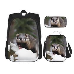 KoNsev Bedruckter Rucksack, 3-teiliges Set, für Reisen, Wandern, leichtes Laptop-Bleistiftetui, isolierte Lunchtasche für Damen, Eulen auf Ästen, Opossum im Schnee drucken, Einheitsgröße von KoNsev