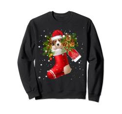 Santa Kooikerhondje In Christmas Sock Pyjama Sweatshirt von Kooikerhondje Merry Christmas Shock Funny Gifts