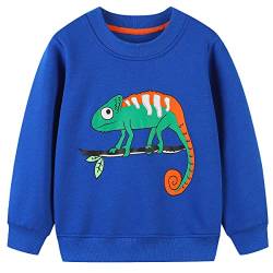 Koonde Jungen Dinosaurier Pullover Baumwolle Top Truck Sweatshirt Langarm Tee für Kinder Kleinkind Kleidung 1,5–7 Jahre, Blaues Chamäleon, 98 von Koonde