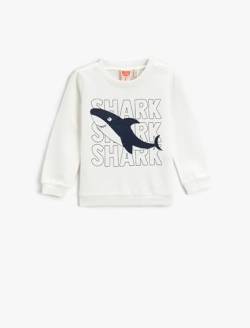 Koton Baby - Jungen Shark Printed Sweatshirt, Ecru (021), 9-12 Monate EU von Koton