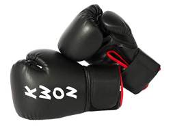 Boxhandschuhe Training (10 oz) von Kwon