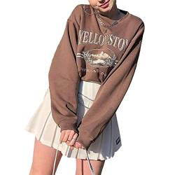 L&ieserram Damen Sweatshirt ohne Kapuze Lang Oversized Vintage Pullover Langarm Retro Lockerer Langarmshirt 90er Y2K Fashion Aesthetic E-Girl Teenager Mädchen Herbst Winter Pulli (D Braun, L) von L&ieserram