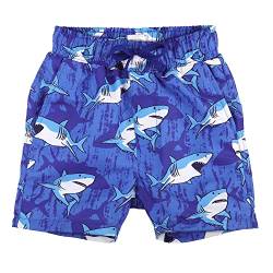 LACOFIA Kinder Badeshorts Jungen Casual Elastische Taille Badehose Kleinkind Strand Schwimmen Shorts Blauer Hai 4 Jahre 104 von LACOFIA