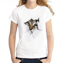 LAEMILIA Damen Mädchen T-Shirt 3D Katze Aufdruck Kurzarm Rundhals Sweatshirt Lose Beiläufig Tops Oberteil Bluse Sommer Frühling Streetwear von LAEMILIA