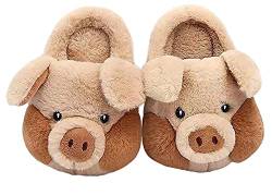 LANFIRE Big Kid und Erwachsene Baumwolle Hausschuhe Schwein Hausschuhe Plüsch Hausschuhe Tier Hausschuhe Damen Schuhe (Brown, 43/44, numeric_43) von LANFIRE