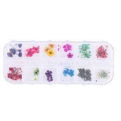 LANTRO JS 12 Farben Nagelgetrocknete Blumen, 3D-Nagel-Charms, Nail-Art-Aufkleber Für Acryl-UV-Gel-Nagel-Art-Spitzen-Design-Hülle DIY-Dekor(Stellen Sie C ein) von LANTRO JS