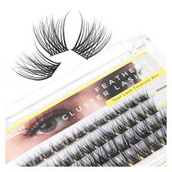 LASHVIEW DIY Lash Extensions,48 Pcs Cluster Lashes for Self-application Individual Lashes at Home, 3D Rapid Soft and Lightweight-Style D17 Mix(10/12/14/16mm) von LASHVIEW