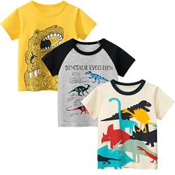 LAUSONS Kinder 3er-Pack T-Shirt Kurzarm Shirt Rundem Ausschnitt Oberteile Cartoon Dino 98/Etikett 90 von LAUSONS