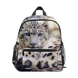 LIANCHENYI Animal Snow Leopard Unisex Outdoor Daypacks Taschen 2. 3. 4. Klasse Schulrucksack für Kinder Jungen Mädchen, multi, Einheitsgröße, Tagesrucksack von LIANCHENYI