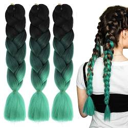 LICHENGTAI 3 Stück Braids Extensions Flechthaare Ombre Jumbo Braid Haarverlängerung Kunsthaar Haar Flechten Extensions Jumbo Flechten Hair Extensions für Frauen Mädchen Crochet Twist Flechten Haar von LICHENGTAI