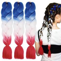 LICHENGTAI 3 Stück Braids Extensions Flechthaare Ombre Jumbo Braid Haarverlängerung Kunsthaar Haar Flechten Extensions Jumbo Flechten Hair Extensions für Frauen Mädchen Crochet Twist Flechten Haar von LICHENGTAI