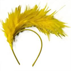 LICHENGTAI Feder Stirnband Fascinator 20er Jahre Stirnband Feder Haarreif Haarband Hochzeit Kopfbedeckung Haarreif Feder Kopfbedeckung Kostüm für Ostertag Hochzeit Halloween Party von LICHENGTAI