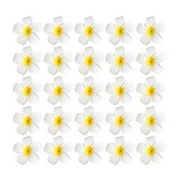 LIOOBO Packung mit 25 Simulationsblumen Haarspange Frangipani Haarnadeln Brautspange für Frauen Mädchen Damen von LIOOBO