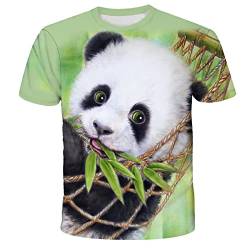 3D Druck T Shirt Herren Unisex 3D Digital Printed Panda Muster Kurzarm T-Shirts für Männer Frauen,Panda-1,XL von LIVBH