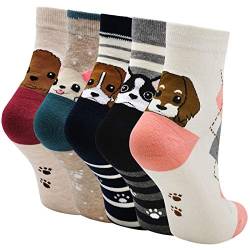 LOFIR Lustige Bunte Socken Damen Tier Muster Socken aus Baumwolle Mädchen Karikatur Katze Strümpfe Geschenk für Frauen, Größe 35-41, 5 Paare von LOFIR