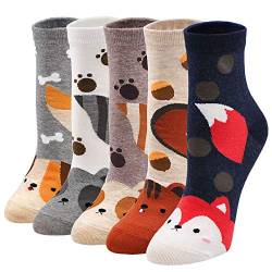 LOFIR Lustige Bunte Socken Damen Tier Muster Socken aus Baumwolle Mädchen Karikatur Katze Strümpfe Geschenk für Frauen, Größe 35-41, 5 Paare von LOFIR