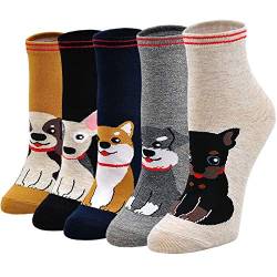 LOFIR Lustige Bunte Socken Damen Tier Muster Socken aus Baumwolle Mädchen Karikatur Katze Strümpfe Geschenk für Frauen, Größe 35-41, 5 Paare von LOFIR