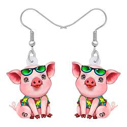 LONYOO Acryl Rosa Schwein Ohrringe baumeln niedlich Schwein Schmuck für Mädchen Frauen Schwein Geschenke (Sommer) von LONYOO