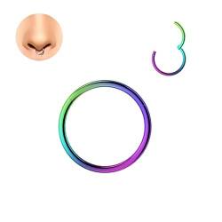 LOVANS Hypoallergenic 316L Surgical Steel Nose Rings Nose Hoops for Men and Women Body Piercing Jewelry Earrings Lip Ring 6/8/10/12/14mm (1.0 * 12mm, Regenbogen) von LOVANS