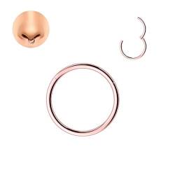 LOVANS Hypoallergenic 316L Surgical Steel Nose Rings Nose Hoops for Men and Women Body Piercing Jewelry Earrings Lip Ring 6/8/10/12/14mm (1.0 * 12mm, Roségold) von LOVANS