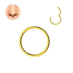 LOVANS Hypoallergenic 316L Surgical Steel Nose Rings Nose Hoops for Men and Women Body Piercing Jewelry Earrings Lip Ring 6/8/10/12/14mm (1.2 * 14mm, Gold) von LOVANS