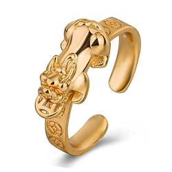 LUTAKU Feng Shui Pixiu Mantra Ring buddhistisches Glücksamulett Mantra Doppelschutz Reichtum Liebe Gesundheit Ring Geschenk für Männer Frauen, Nicht-Edelstein von LUTAKU